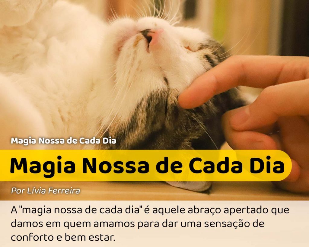 A magia de como um gatinho pode nos fazer sorrir