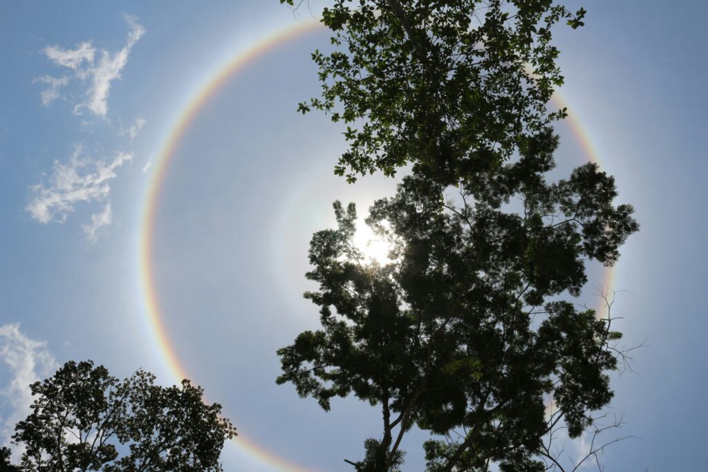 Halo Solar (Paula Sleiman/Unsplash)