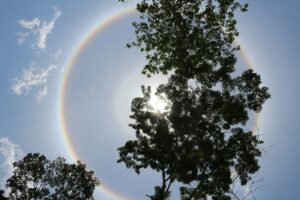 Halo Solar (Paula Sleiman/Unsplash)